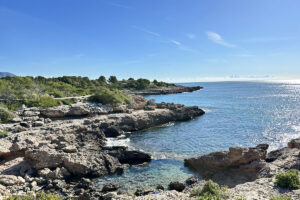 PLAGE3