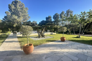 TERRASSE2